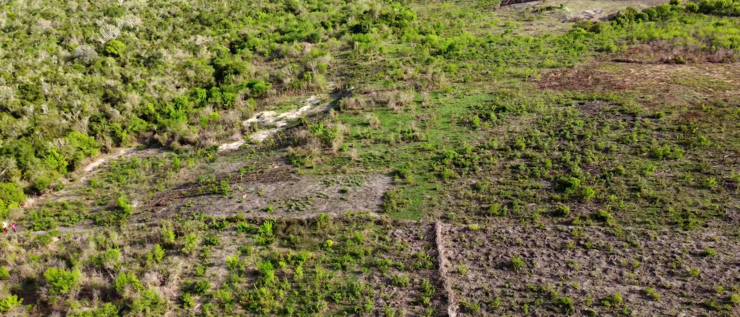 Keragita Farms landscape in Gongoni Ward where the weather station and soil sensors will be deployed