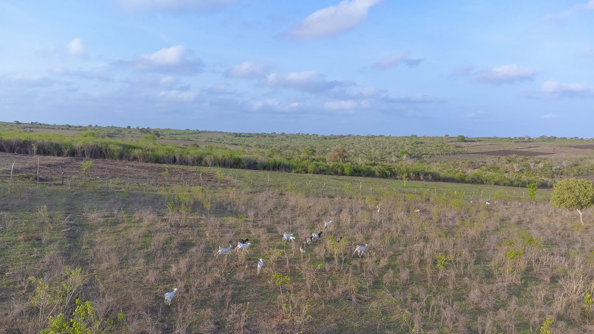 The Keragita farm and surrounding coastal landscape in golden evening light