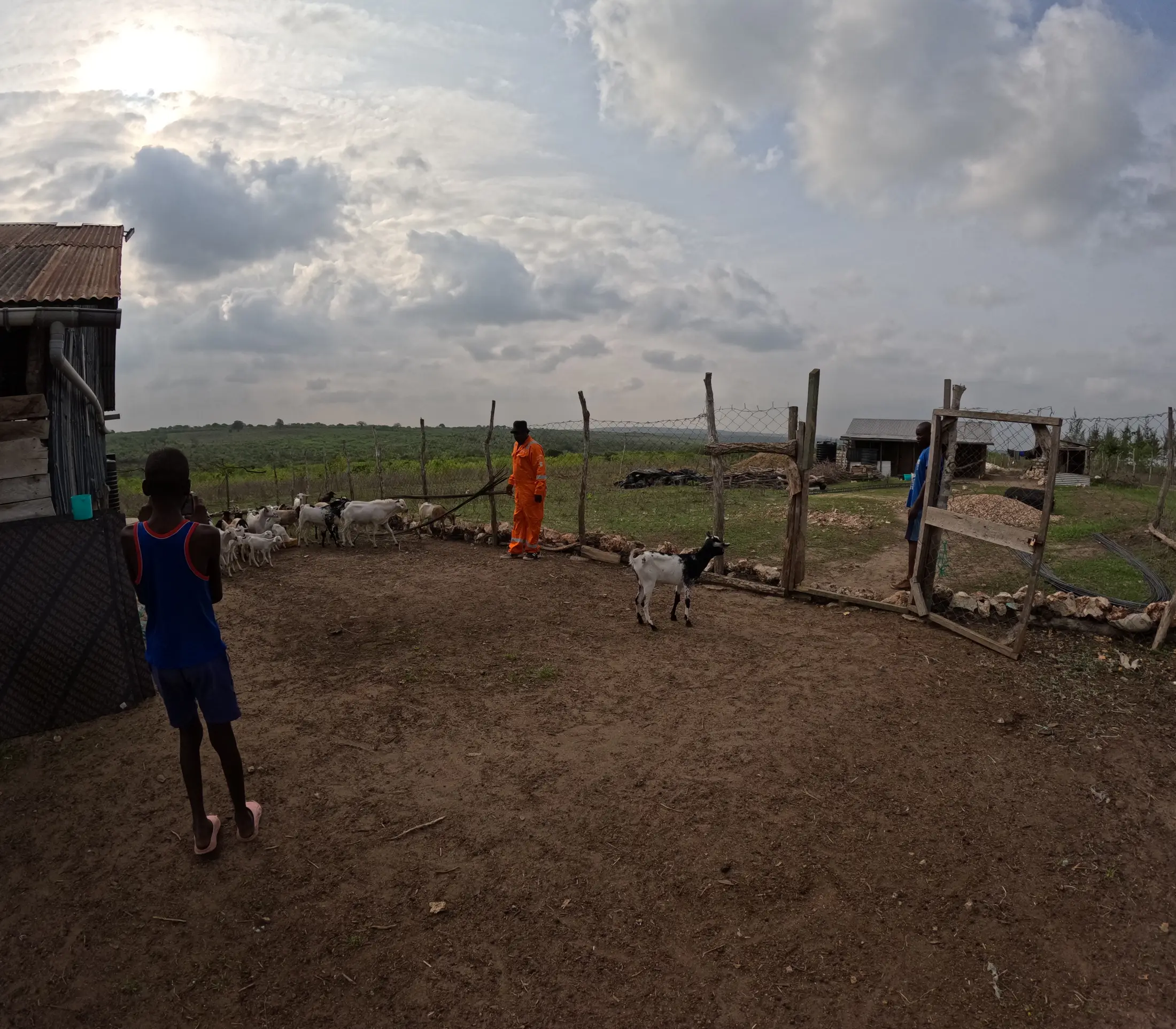Morning work in the Keragita farm yard beneath a wide coastal sky