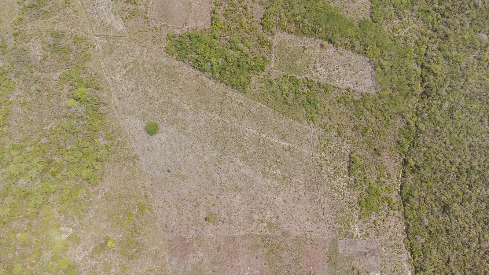 Keragita land seen from above, with open ground meeting established coastal vegetation