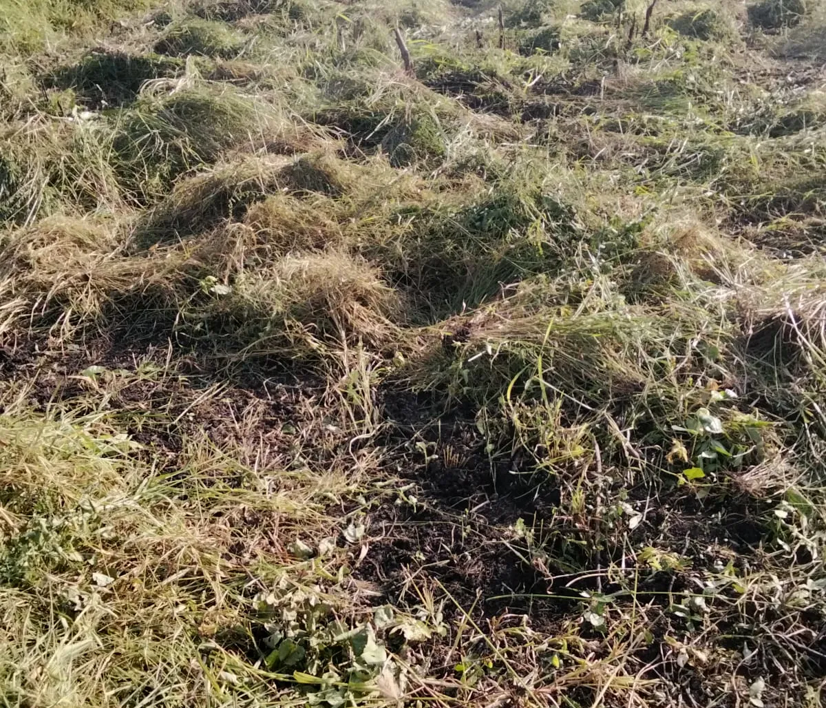 Tractor ploughing freshly cleared farmland in Gongoni Ward