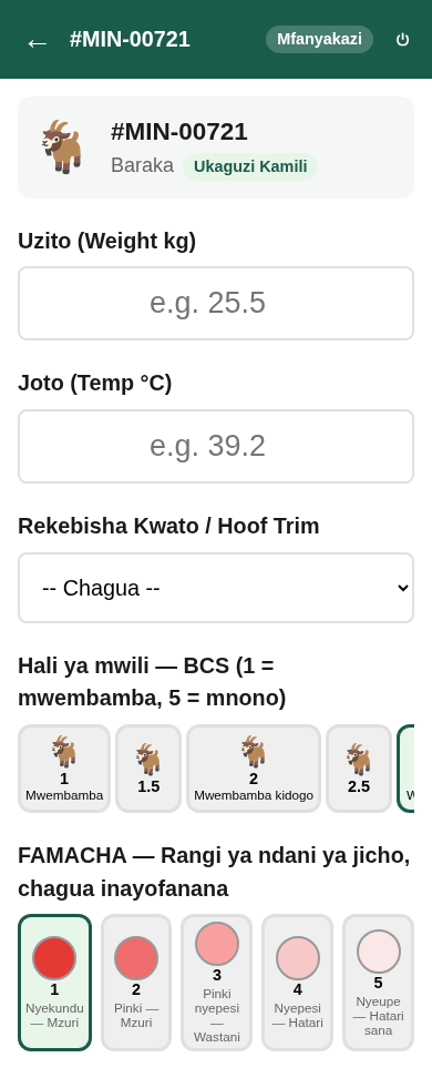 First part of the full health check: weight, temperature, hoof trim, body condition score, and FAMACHA eye colour.