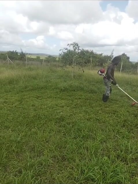 A worker clearing grass with a petrol brush cutter at Keragita Farms during the long rains.