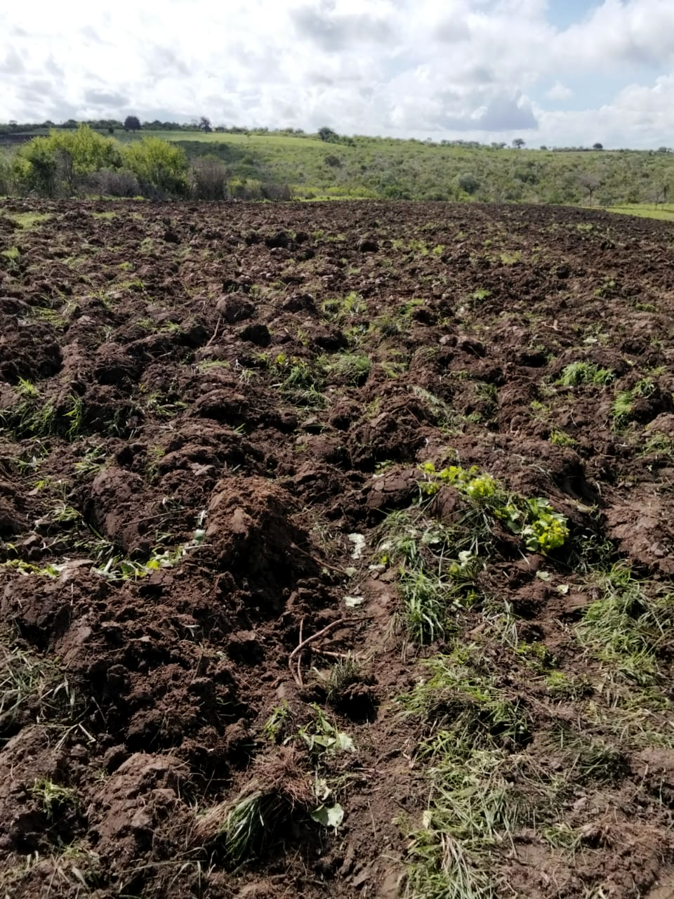 Wide view of freshly ploughed farmland