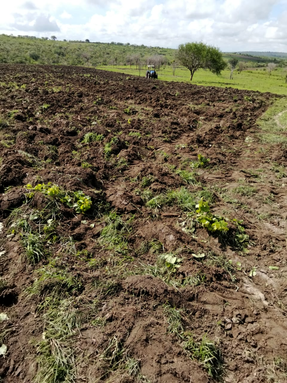 Tractor ploughing the field with freshly turned earth in the foreground