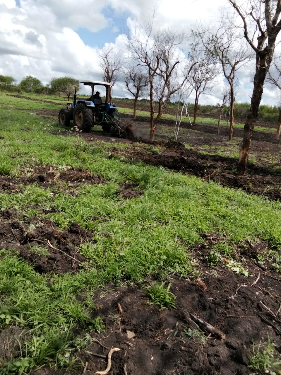 Close-up of the plough mechanism working the soil