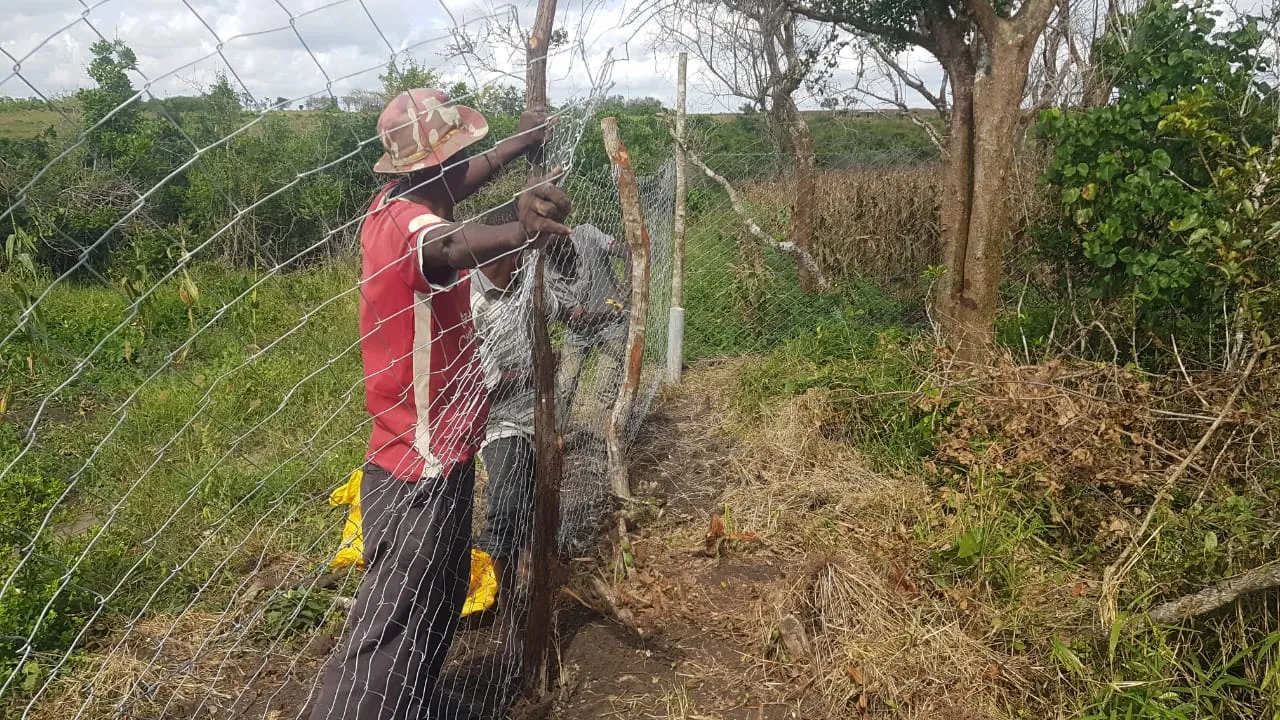 Two people fixing chain-link mesh to the grazing boundary